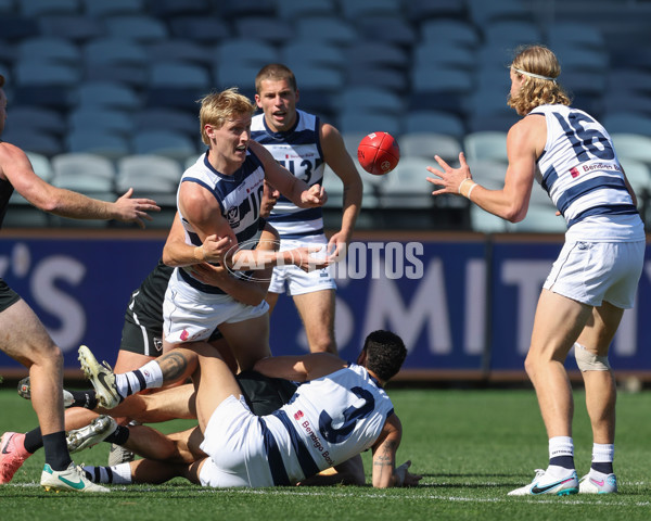 VFL 2024 First Semi Final - Geelong v Southport - A-53772407