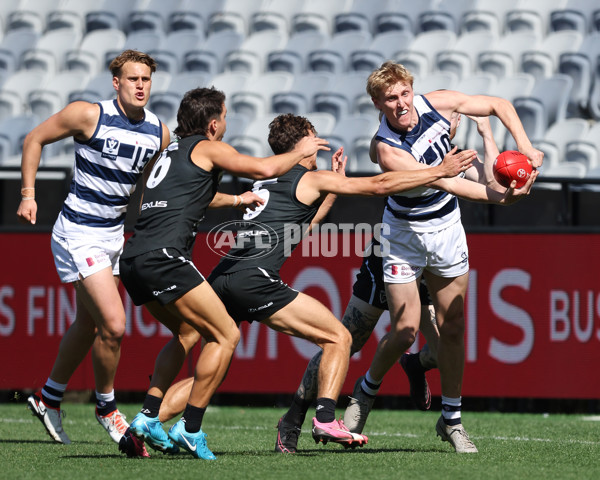 VFL 2024 First Semi Final - Geelong v Southport - A-53772492