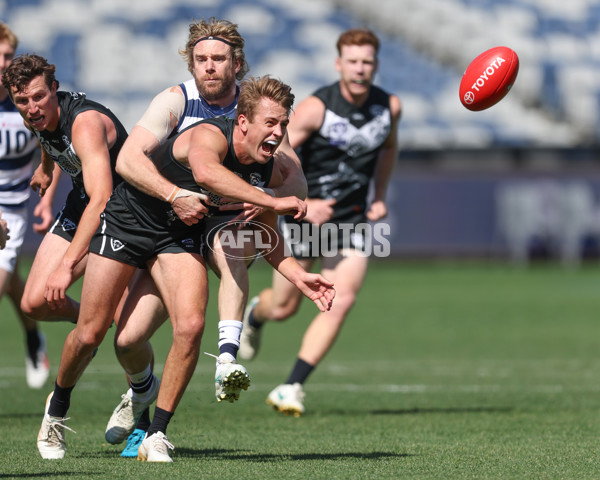 VFL 2024 First Semi Final - Geelong v Southport - A-53773364