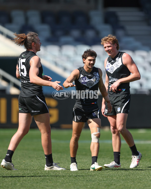 VFL 2024 First Semi Final - Geelong v Southport - A-53774953