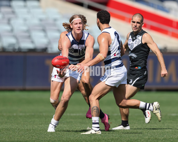 VFL 2024 First Semi Final - Geelong v Southport - A-53775007