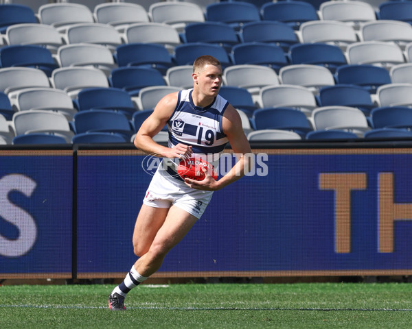 VFL 2024 First Semi Final - Geelong v Southport - A-53775986