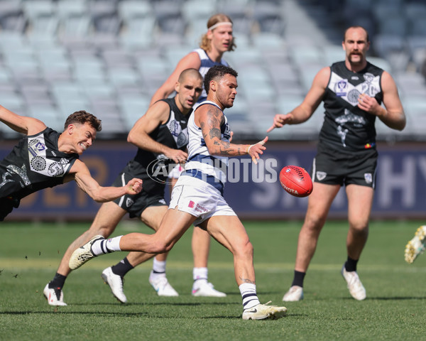 VFL 2024 First Semi Final - Geelong v Southport - A-53775988