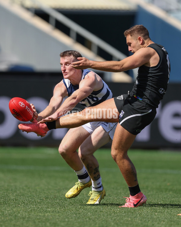 VFL 2024 First Semi Final - Geelong v Southport - A-53777426