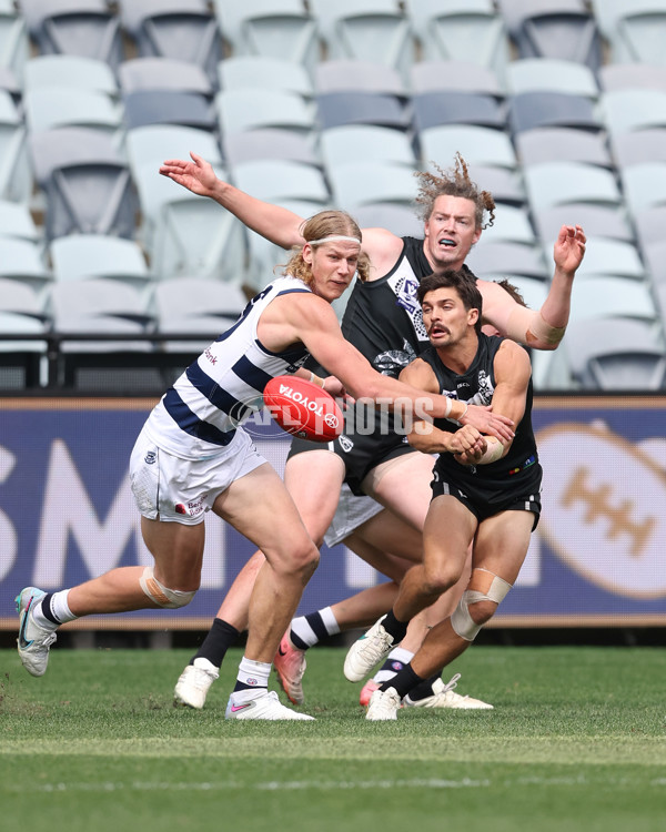 VFL 2024 First Semi Final - Geelong v Southport - A-53777433