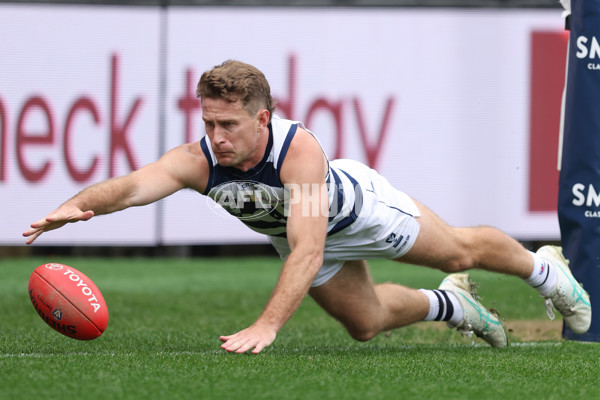 VFL 2024 First Semi Final - Geelong v Southport - A-53780019