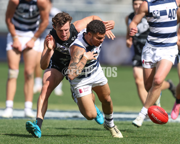 VFL 2024 First Semi Final - Geelong v Southport - A-53782659