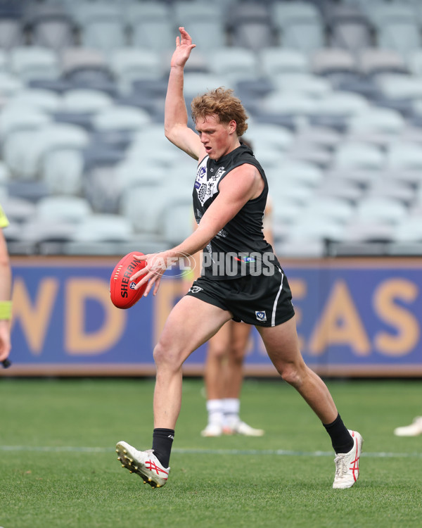 VFL 2024 First Semi Final - Geelong v Southport - A-53783084