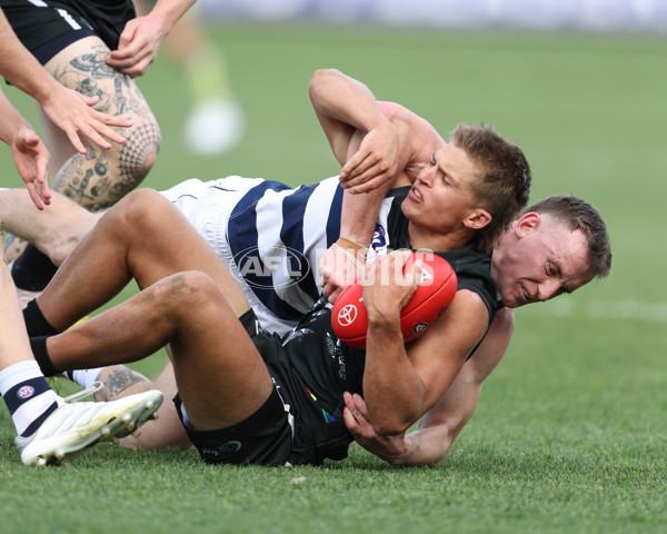 VFL 2024 First Semi Final - Geelong v Southport - A-53784972