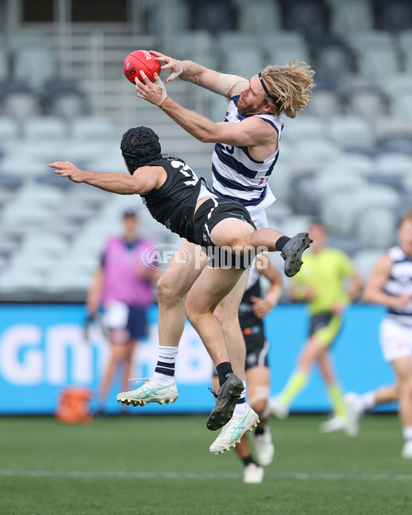 VFL 2024 First Semi Final - Geelong v Southport - A-53784975