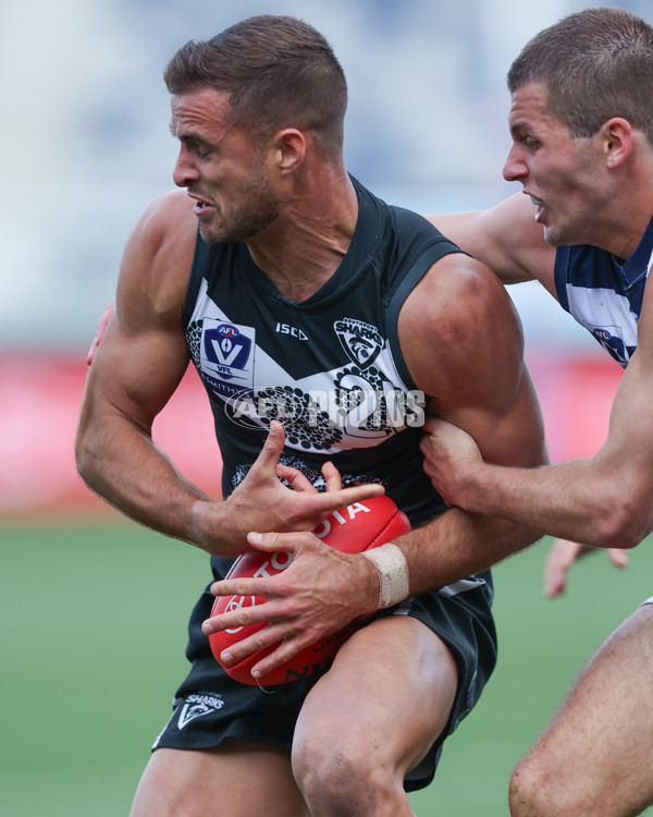 VFL 2024 First Semi Final - Geelong v Southport - A-53785541