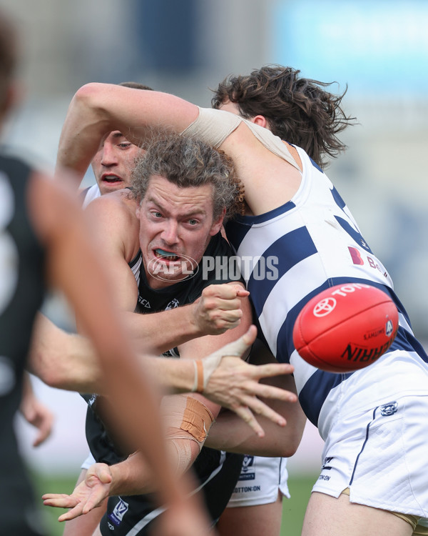 VFL 2024 First Semi Final - Geelong v Southport - A-53785544