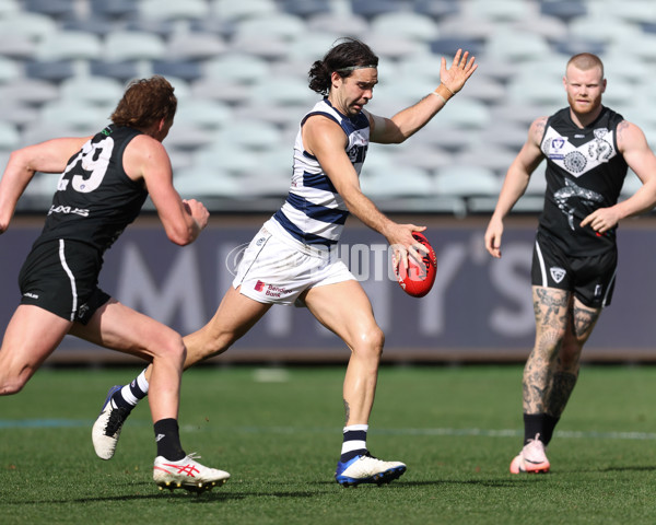 VFL 2024 First Semi Final - Geelong v Southport - A-53787429