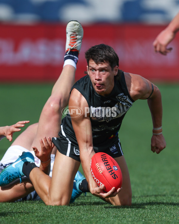 VFL 2024 First Semi Final - Geelong v Southport - A-53787901