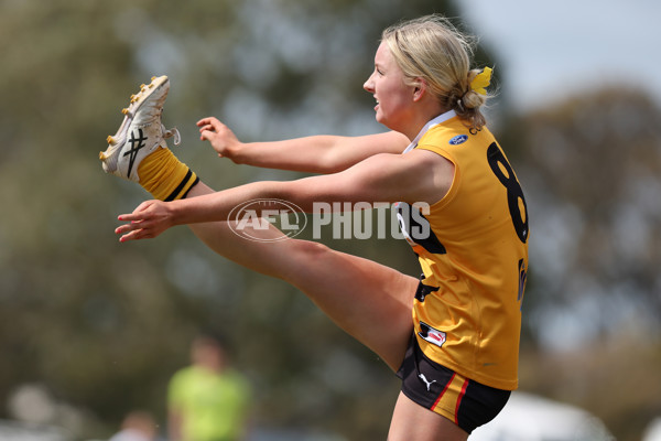 Coates League Girls 2024 Quarter Final - Dandenong Stingrays v Gippsland Power - A-53789601