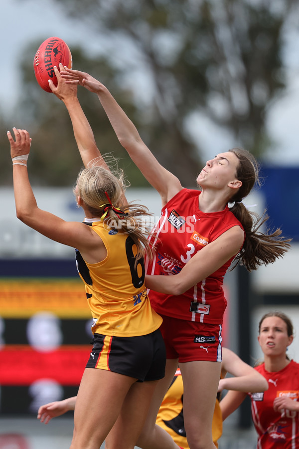 Coates League Girls 2024 Quarter Final - Dandenong Stingrays v Gippsland Power - A-53789606