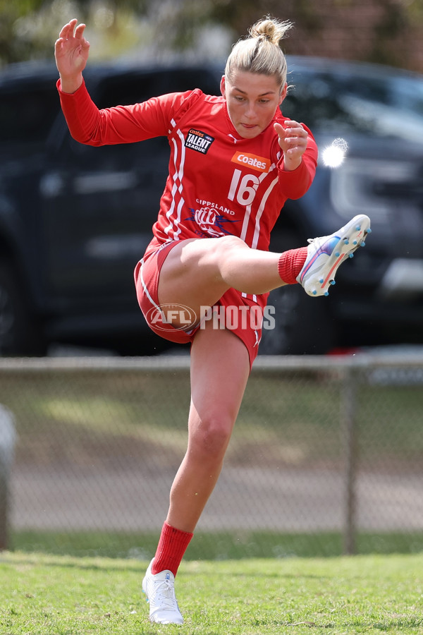 Coates League Girls 2024 Quarter Final - Dandenong Stingrays v Gippsland Power - A-53790283