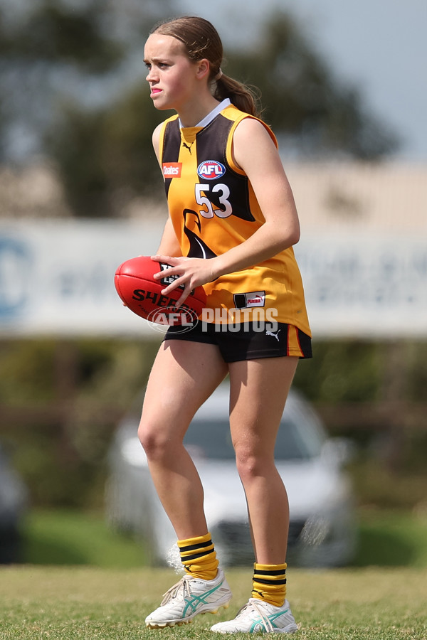 Coates League Girls 2024 Quarter Final - Dandenong Stingrays v Gippsland Power - A-53790284