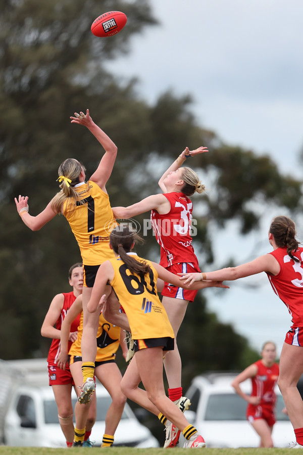 Coates League Girls 2024 Quarter Final - Dandenong Stingrays v Gippsland Power - A-53792363