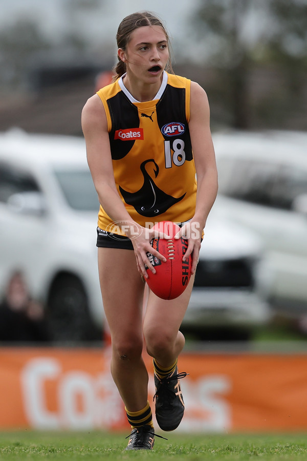 Coates League Girls 2024 Quarter Final - Dandenong Stingrays v Gippsland Power - A-53792365