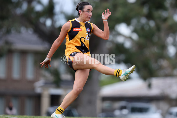 Coates League Girls 2024 Quarter Final - Dandenong Stingrays v Gippsland Power - A-53793040