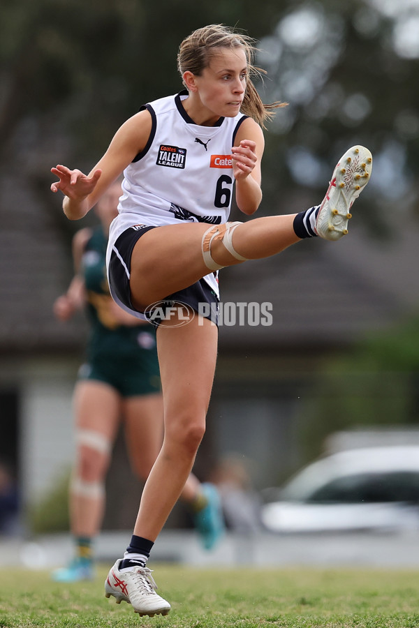 Coates League Girls 2024 Quarter Final - Tasmania Devils v Geelong Falcons - A-53794984