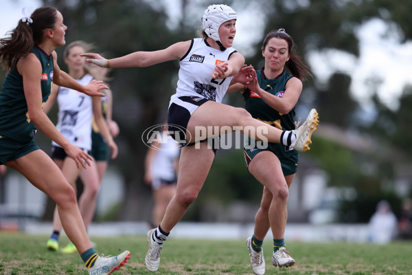 Coates League Girls 2024 Quarter Final - Tasmania Devils v Geelong Falcons - A-53794992