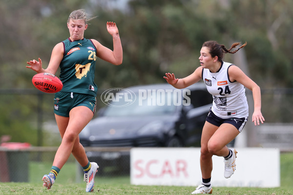 Coates League Girls 2024 Quarter Final - Tasmania Devils v Geelong Falcons - A-53797556