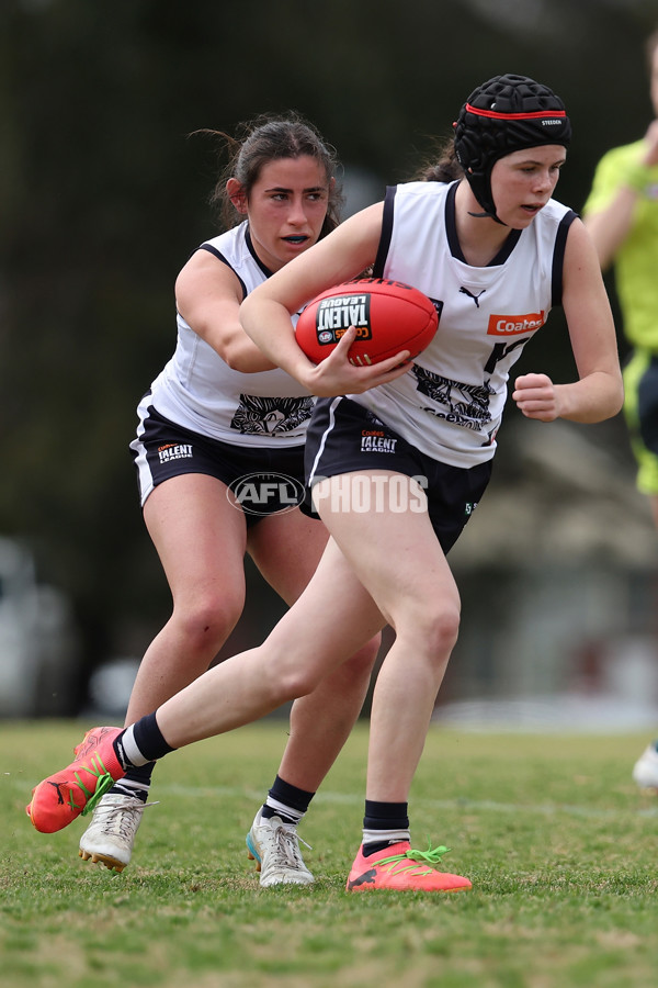 Coates League Girls 2024 Quarter Final - Tasmania Devils v Geelong Falcons - A-53797557
