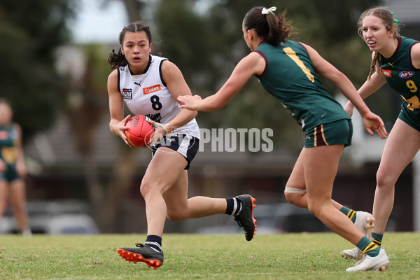 Coates League Girls 2024 Quarter Final - Tasmania Devils v Geelong Falcons - A-53797616