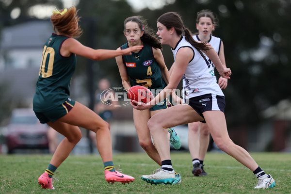 Coates League Girls 2024 Quarter Final - Tasmania Devils v Geelong Falcons - A-53800408