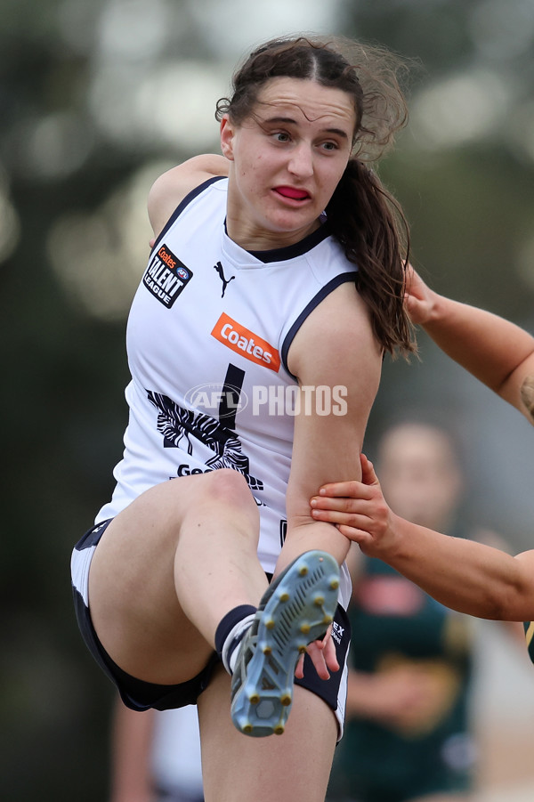 Coates League Girls 2024 Quarter Final - Tasmania Devils v Geelong Falcons - A-53800409