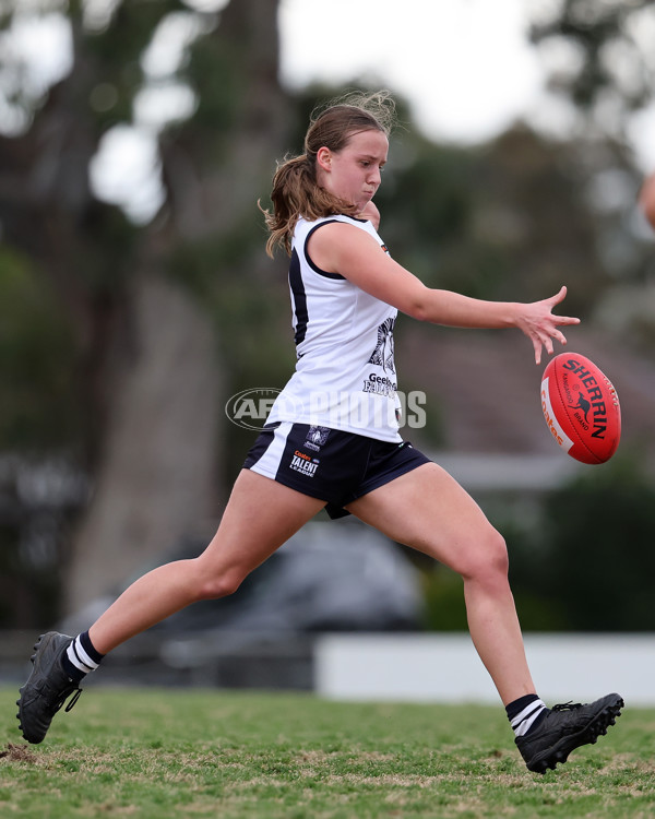 Coates League Girls 2024 Quarter Final - Tasmania Devils v Geelong Falcons - A-53800701