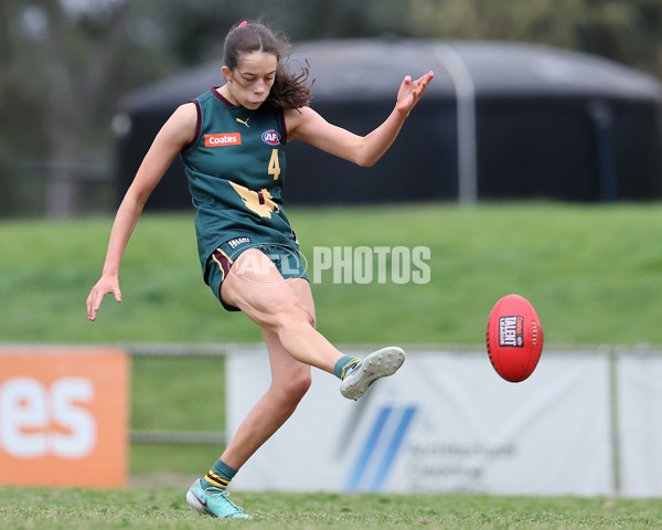 Coates League Girls 2024 Quarter Final - Tasmania Devils v Geelong Falcons - A-53800702