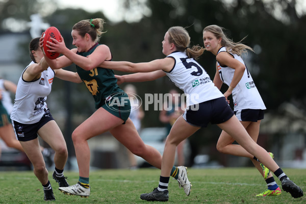 Coates League Girls 2024 Quarter Final - Tasmania Devils v Geelong Falcons - A-53800705