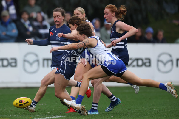 AFLW 2024 Round 02 - North Melbourne v Geelong - A-53809039