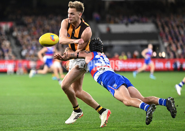 AFL 2024 Second Elimination Final - Western Bulldogs v Hawthorn - A-53931079