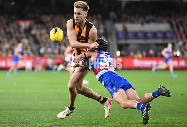 AFL 2024 Second Elimination Final - Western Bulldogs v Hawthorn - A-53931080