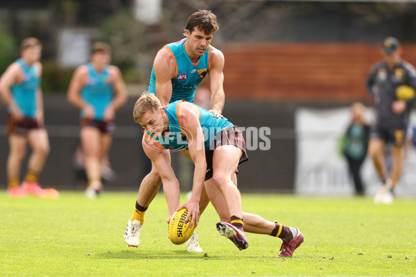 AFL 2024 Training - Hawthorn 110924 - A-53951165