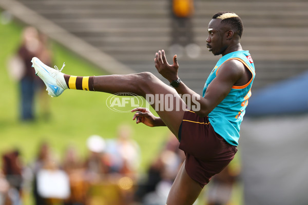 AFL 2024 Training - Hawthorn 110924 - A-53951742