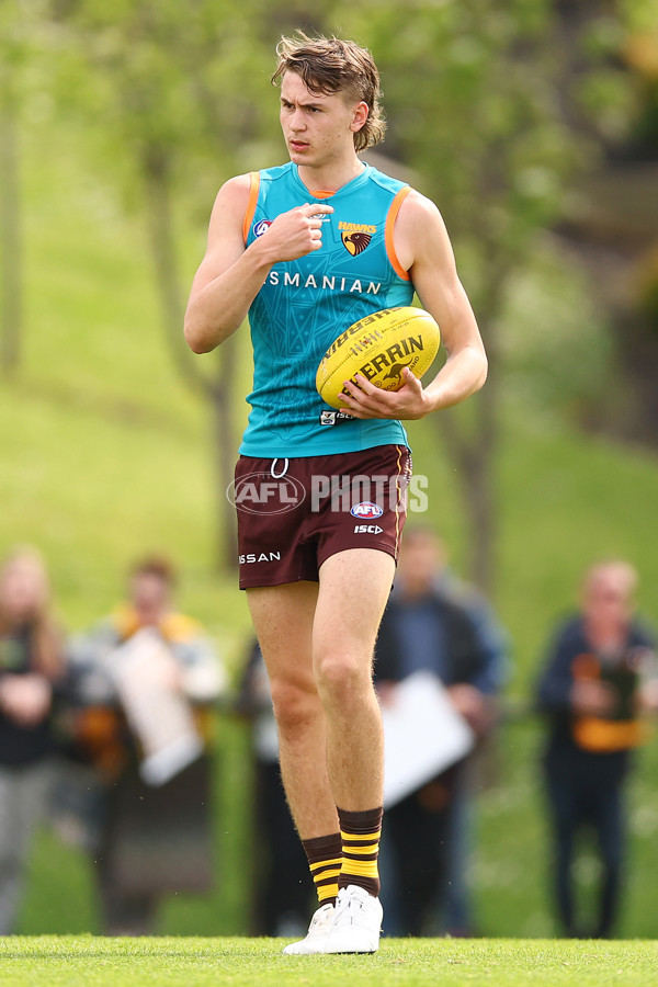 AFL 2024 Training - Hawthorn 110924 - A-53951748