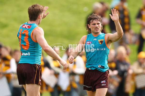 AFL 2024 Training - Hawthorn 110924 - A-53951760