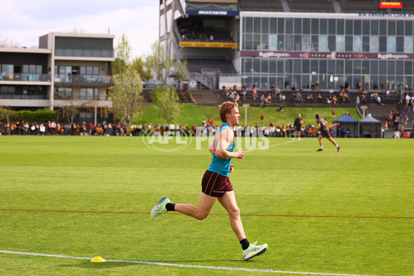 AFL 2024 Training - Hawthorn 110924 - A-53964629