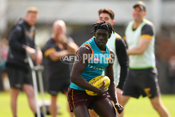 AFL 2024 Training - Hawthorn 110924 - A-53964631