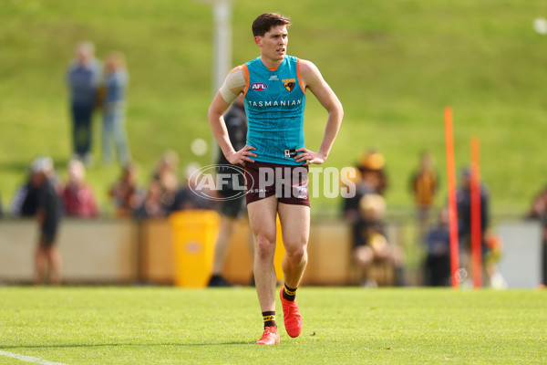 AFL 2024 Training - Hawthorn 110924 - A-53964632