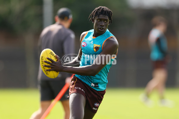 AFL 2024 Training - Hawthorn 110924 - A-53964636