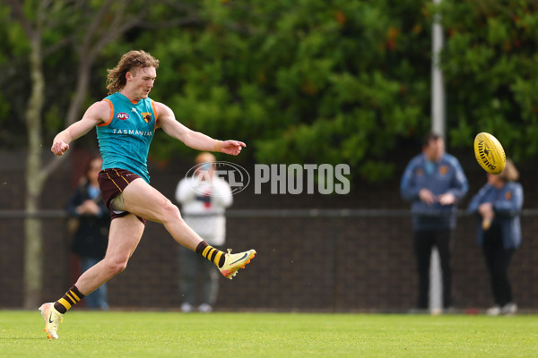 AFL 2024 Training - Hawthorn 110924 - A-53965613