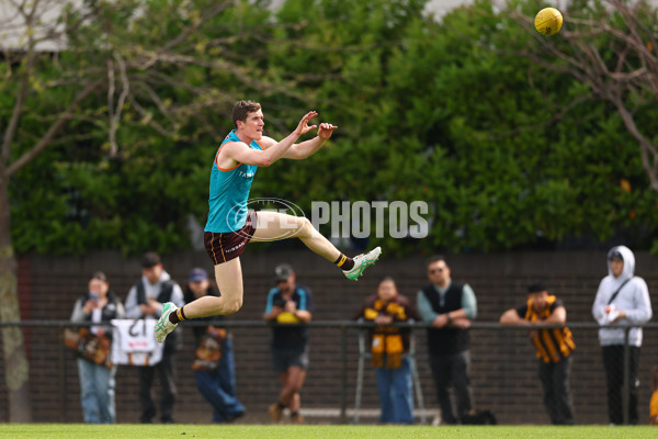 AFL 2024 Training - Hawthorn 110924 - A-53965615