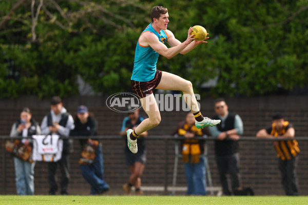 AFL 2024 Training - Hawthorn 110924 - A-53965624