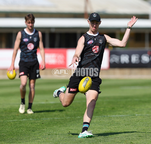 AFL 2024 Training - Port Adelaide 120924 - A-53977155